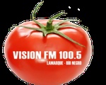 Visión FM