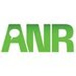 ANR Rock