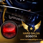 Hard Salsa Bogota