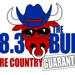 98.3 The BULL – WCEF