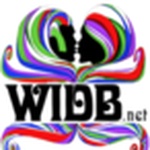 WIDB.NET The Remedy