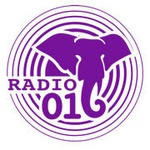 Naxi Radio 016