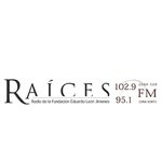 Raíces FM