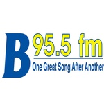 B-95.5 – WYJB