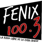 FM Fenix 100.3