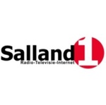 Salland 1