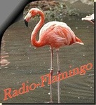 Radio Flamingo