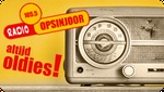 Radio Opsinjoor