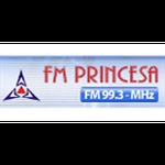 Rádio FM Princesa 99.3