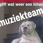 Muziekteam Radio