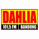 Radio Dahlia