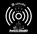 FreQ313RadiO