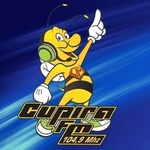 Rádio Cupira FM