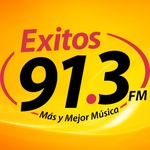 Exitos 91.3 – XHMLS