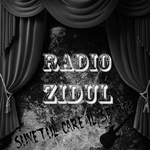 Radio Zidul