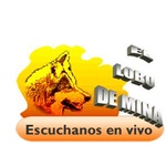 El Lobo de Mina – XHMTV