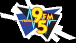 Rádio Viçosa 95 FM