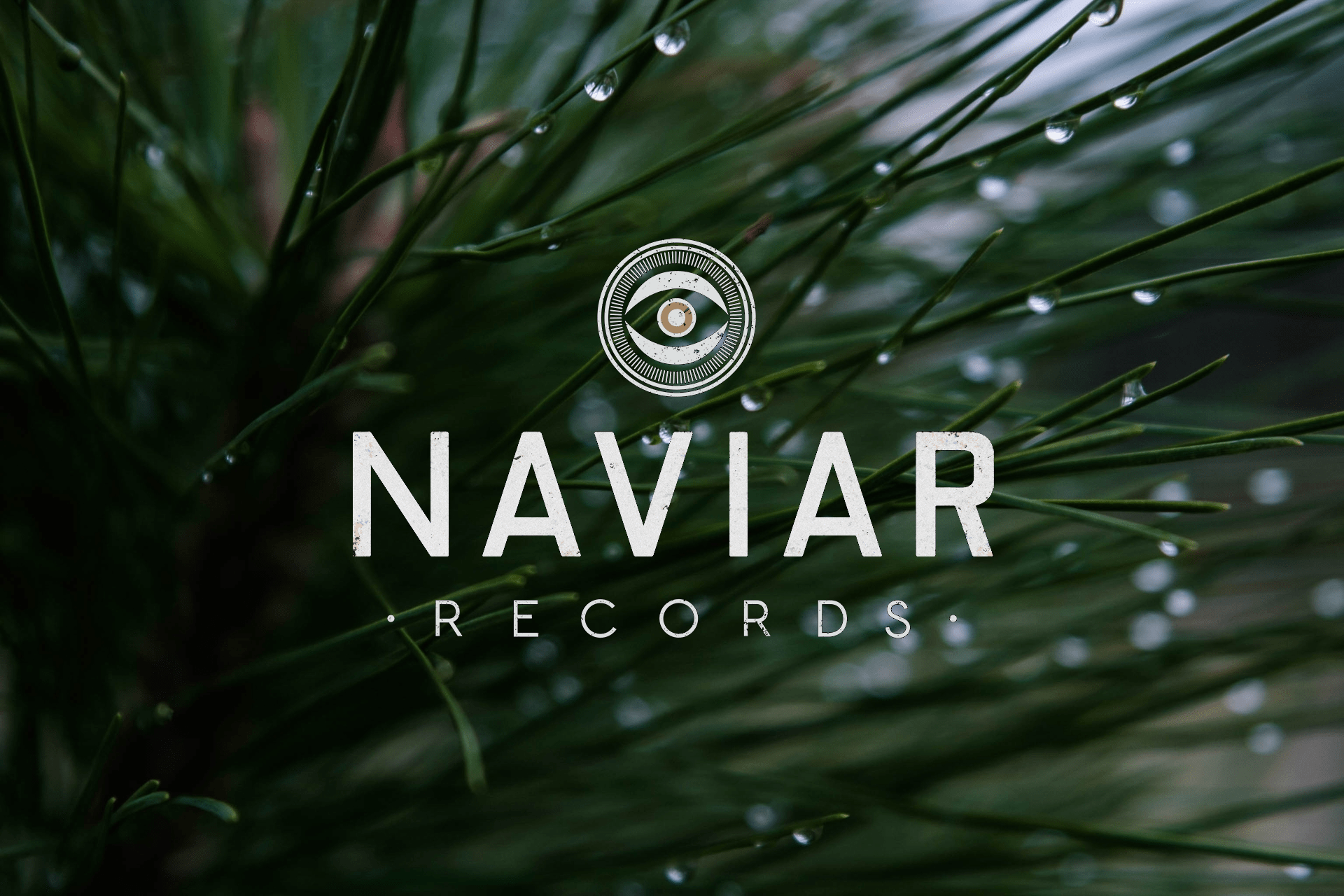 Naviar Radio